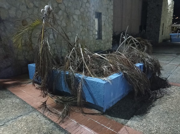 Pagina Zero - jardinera