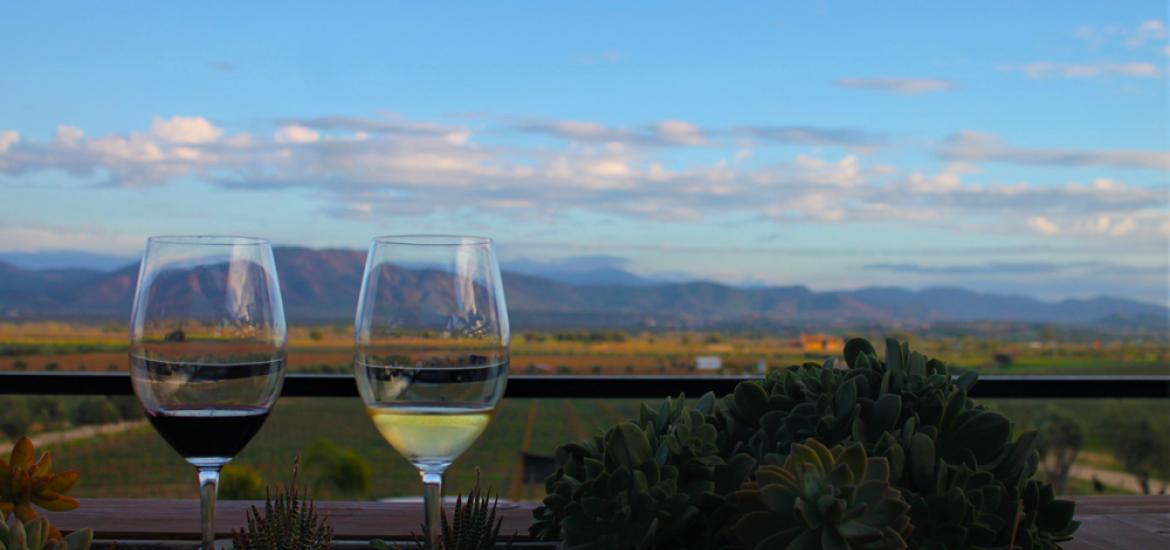 Página zero - vinos del valle de Guadalupe