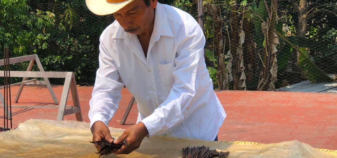 Página Zero - Papantla