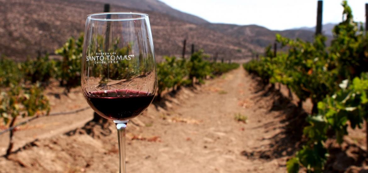 Página Zero - Ruta del vino