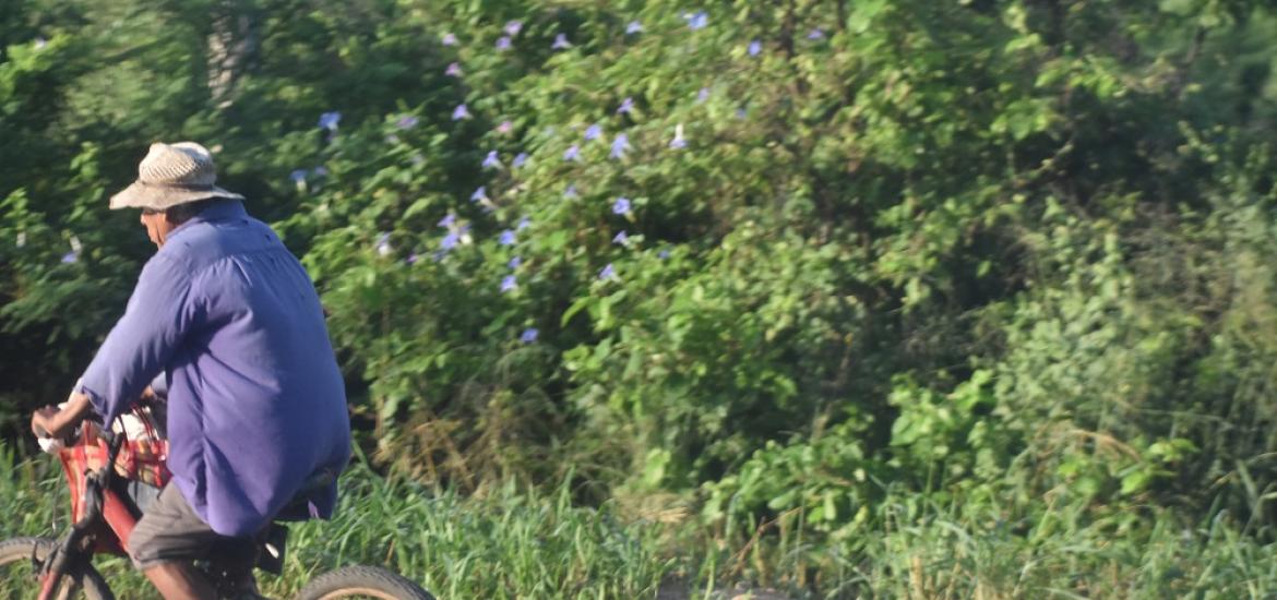 Página Zero - bicicleta