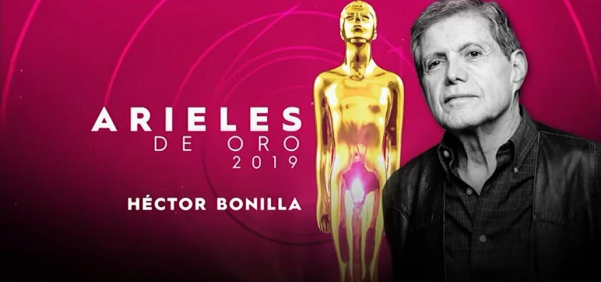 PAgina Zero bonilla