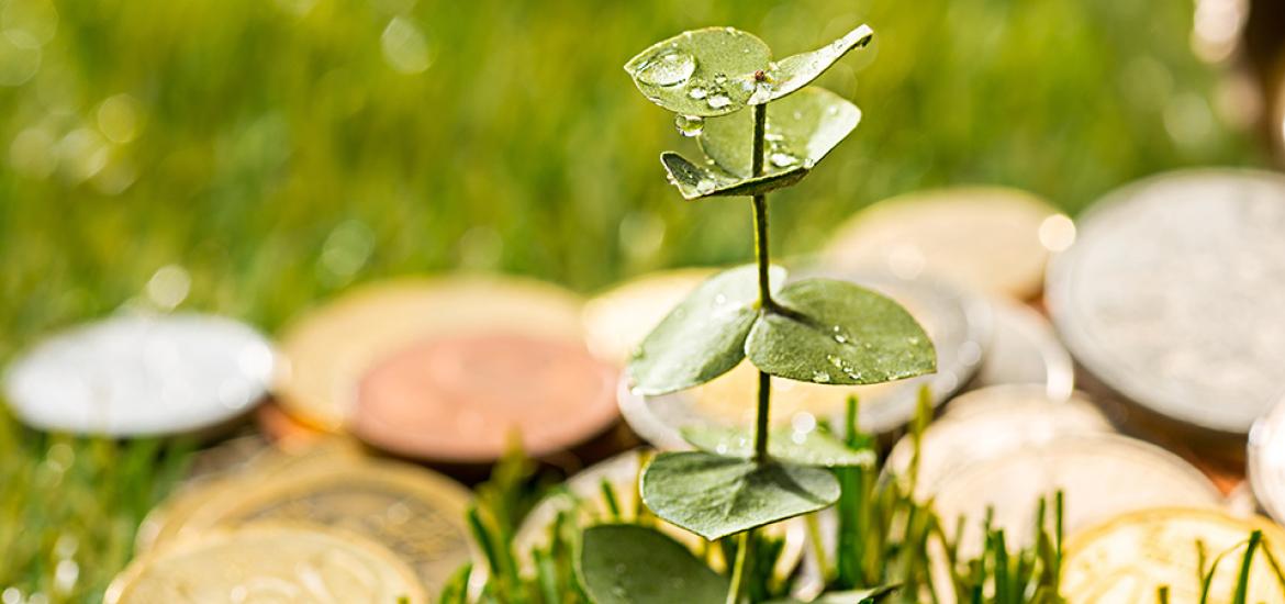 economia circular