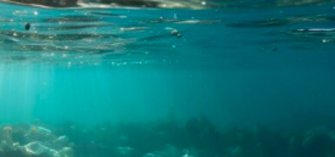microplasticos