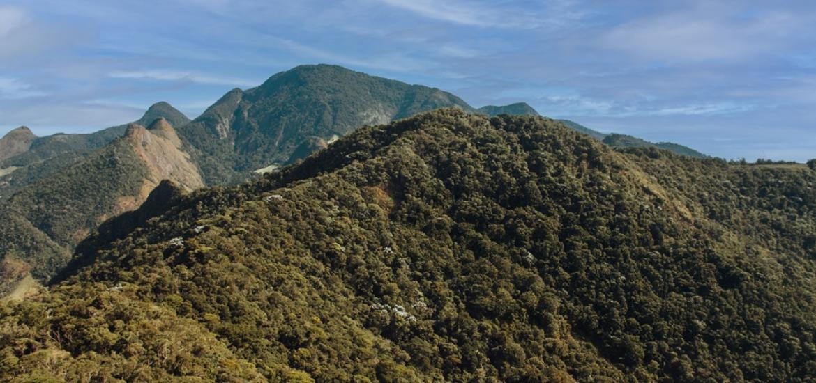 SIERRADESANTAROSA