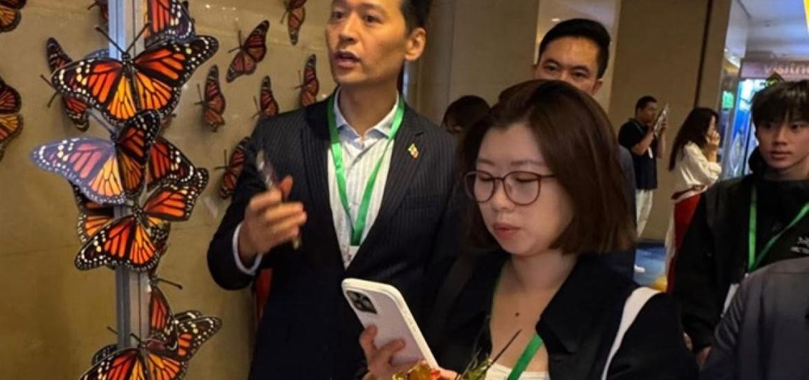 Michoacán_tianguisturistico