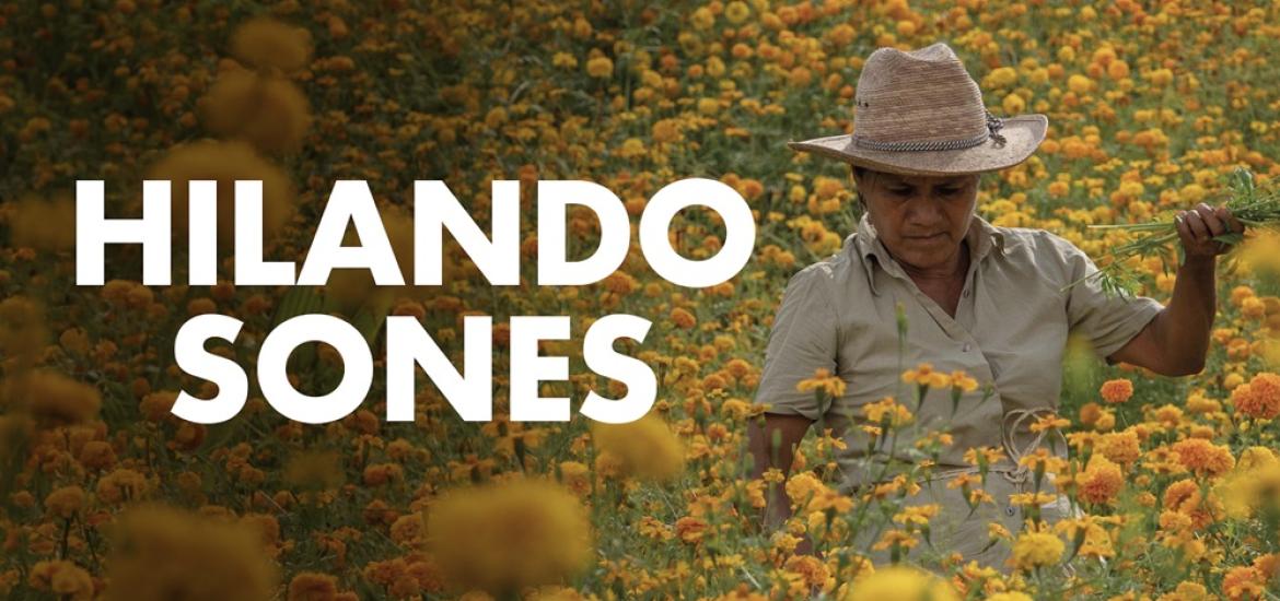 hilandoflores