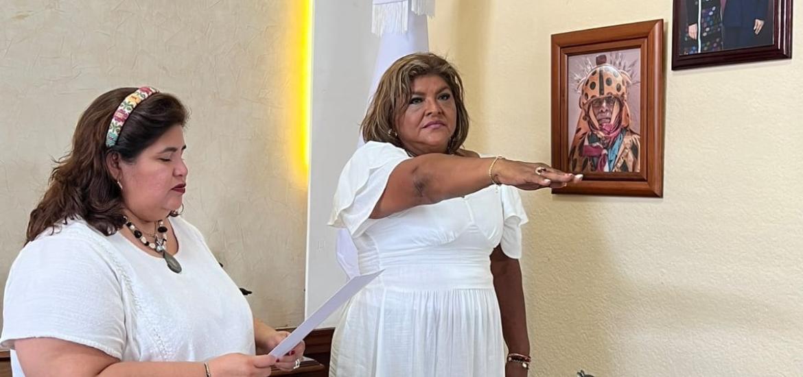 tomaprotestanellysolis