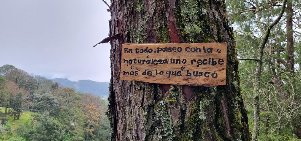 Bosque_letrero
