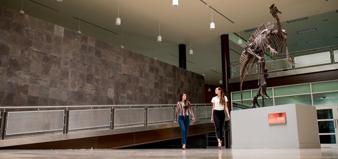 museochihuahuense
