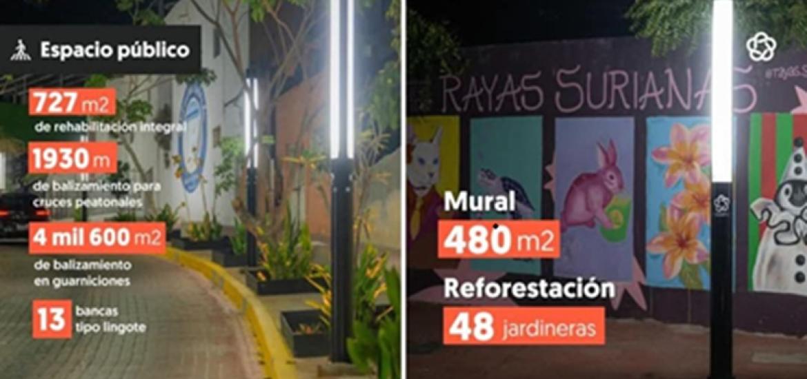 rayas_surianas