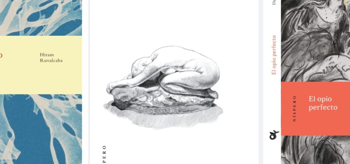 portadas_nispero