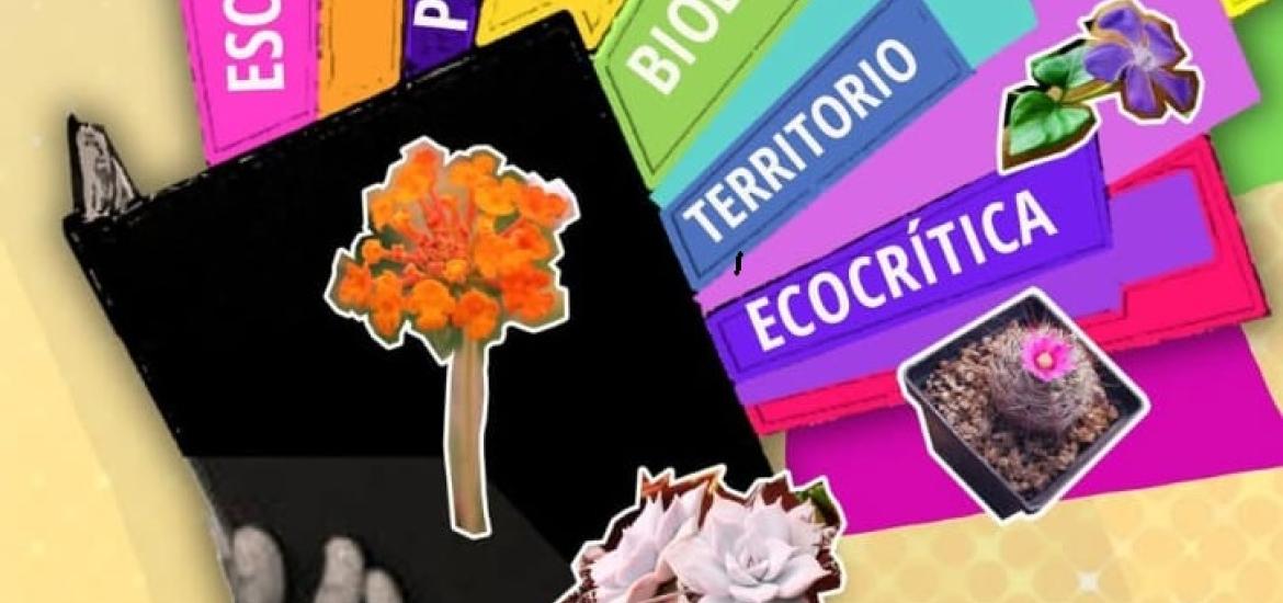 cepe_agosto2026