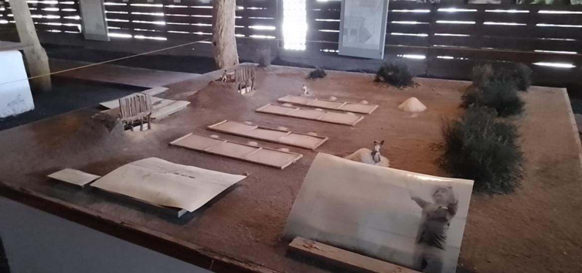museo_sal
