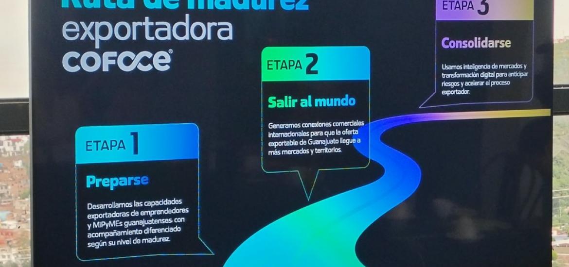 MBR_cofoce2