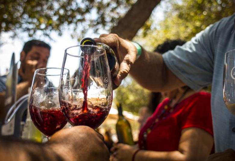 Página zero - valle de Guadalupe 