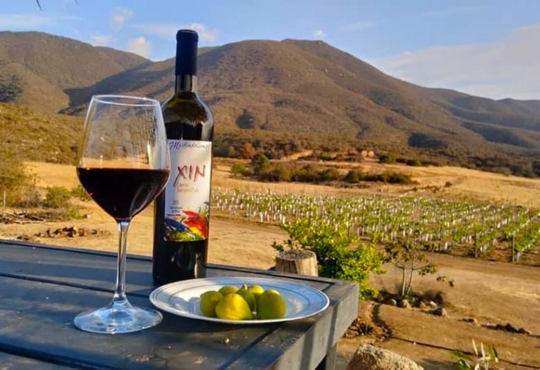 Página Zero - Sendero en la Ruta del Vino 