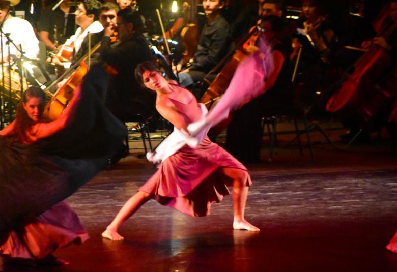 Página Zero - Danza Guerrero 
