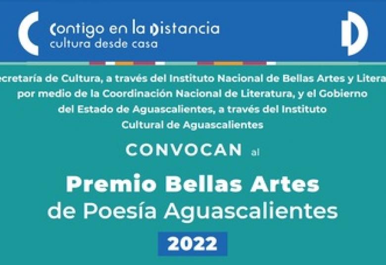 Página Zero - Bellas Artes
