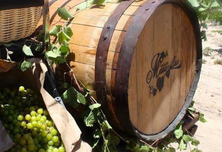 Página Zero - Vinícola Maravillas