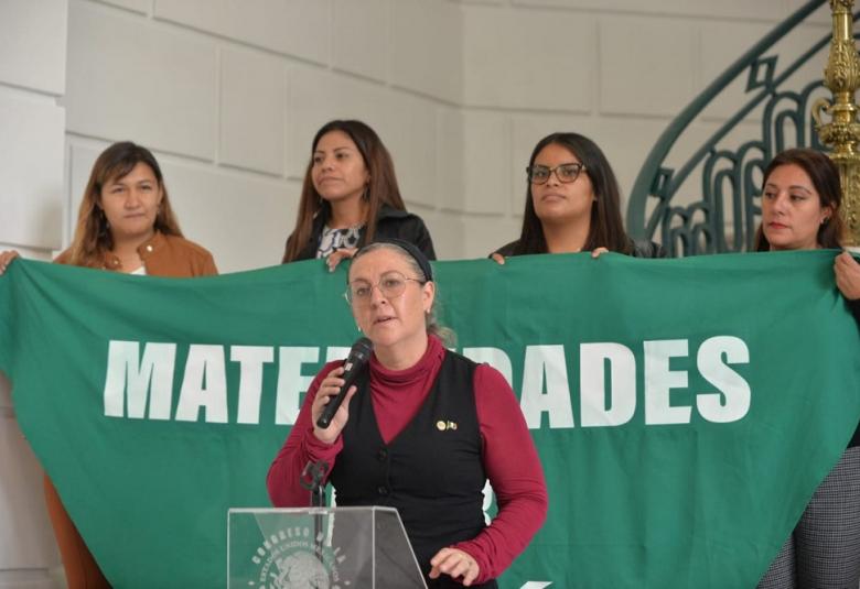 Pagina - MaternidadesPor Elección