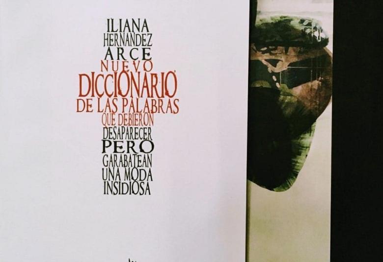 Pagina Zero - iliana hdz