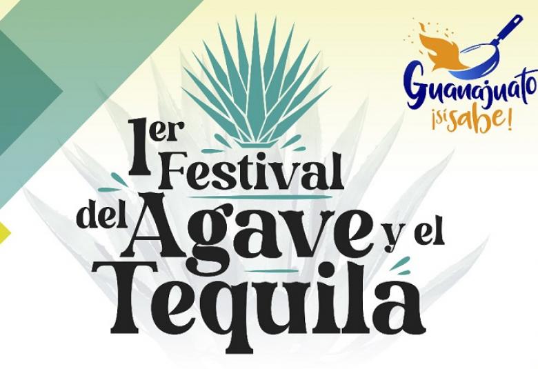 Pagina Zero - tequila gto
