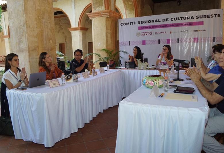 Pagina Zero - comites sur sureste