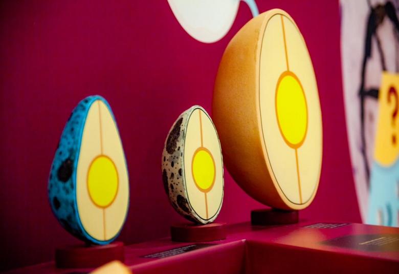 DINOSAURIOS ENTRE NOSOTROS