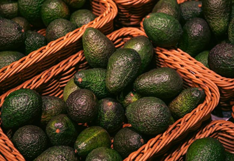 aguacate