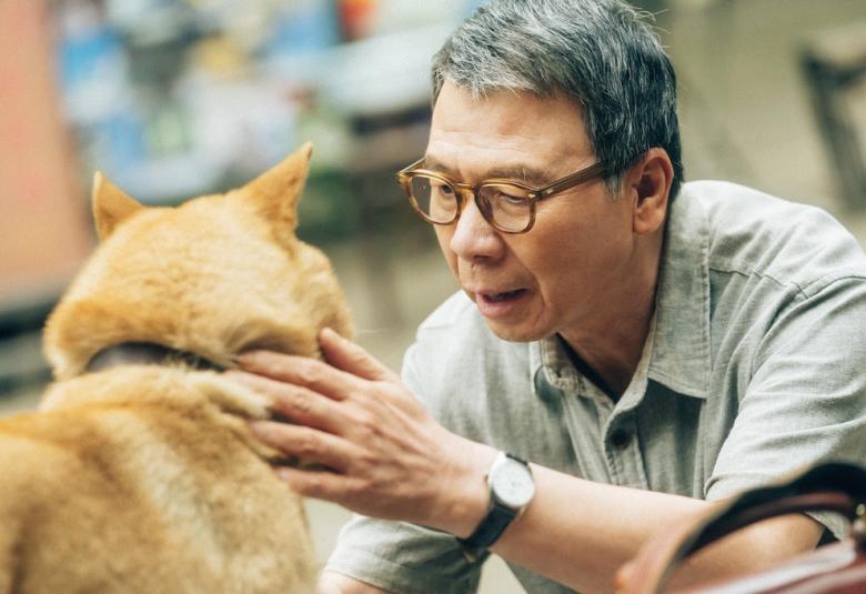 hachiko