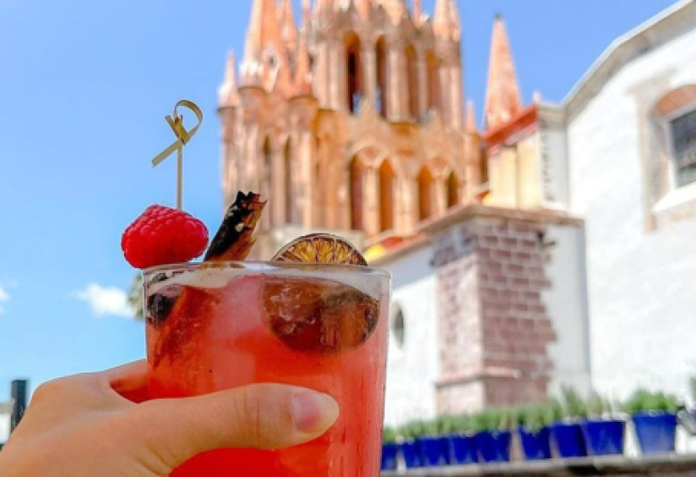 bebidas gto