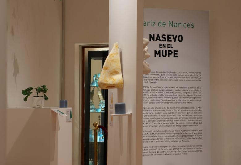 nasevo