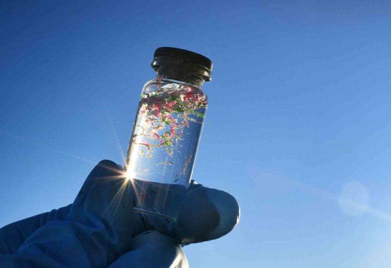 microplasticos