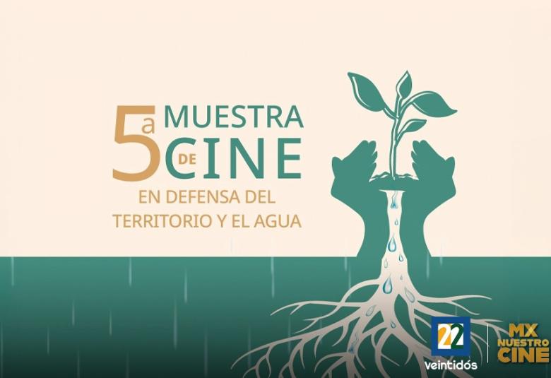 5muestra
