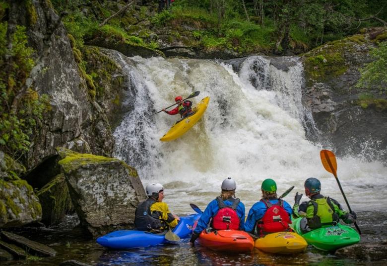 motor_economico_region