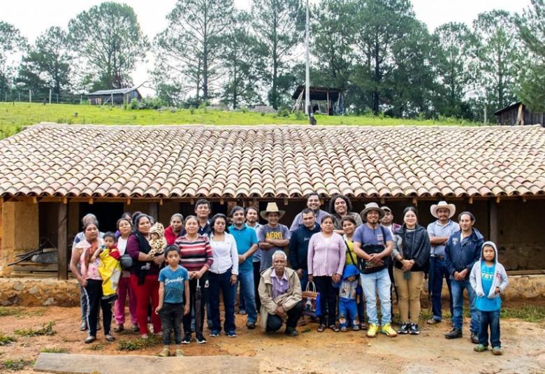 gusanosdelamemoria_llanodeheno