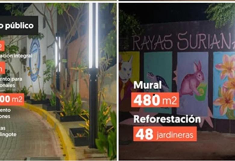 rayas_surianas