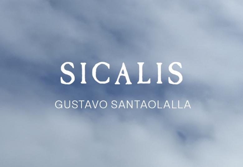 sicalis
