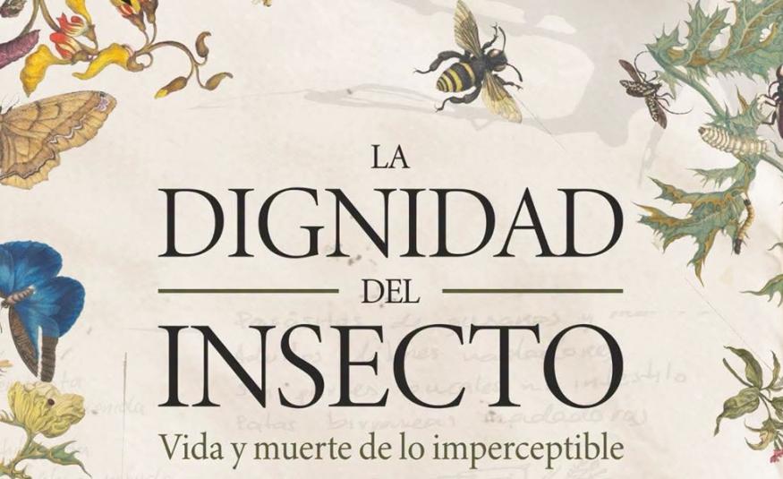 dignidadinsecto