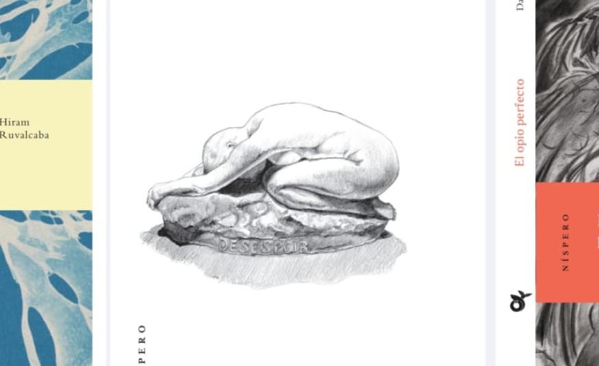 portadas_nispero