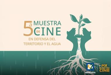 5muestra