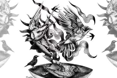 aveslavuelo