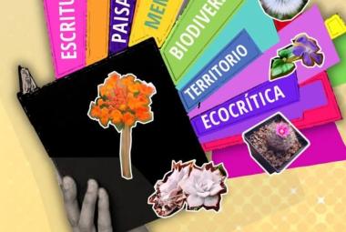 cepe_agosto2026