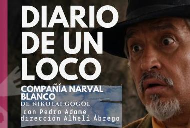 diariodeunloco