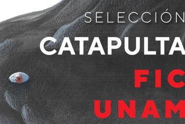 ficunam16_catapulta