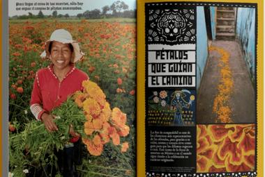 petalos