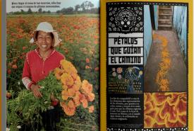 petalos