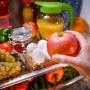 alimentos